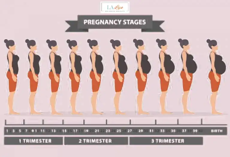 First Trimester (Weeks 1–12): Early Changes You Might Not Notice Blackpool